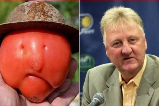 J.Van Gundy apie L.Birdo sulyginimą su pomidoru: tai nepagarba!