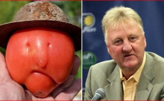 J.Van Gundy apie L.Birdo sulyginimą su pomidoru: tai nepagarba!